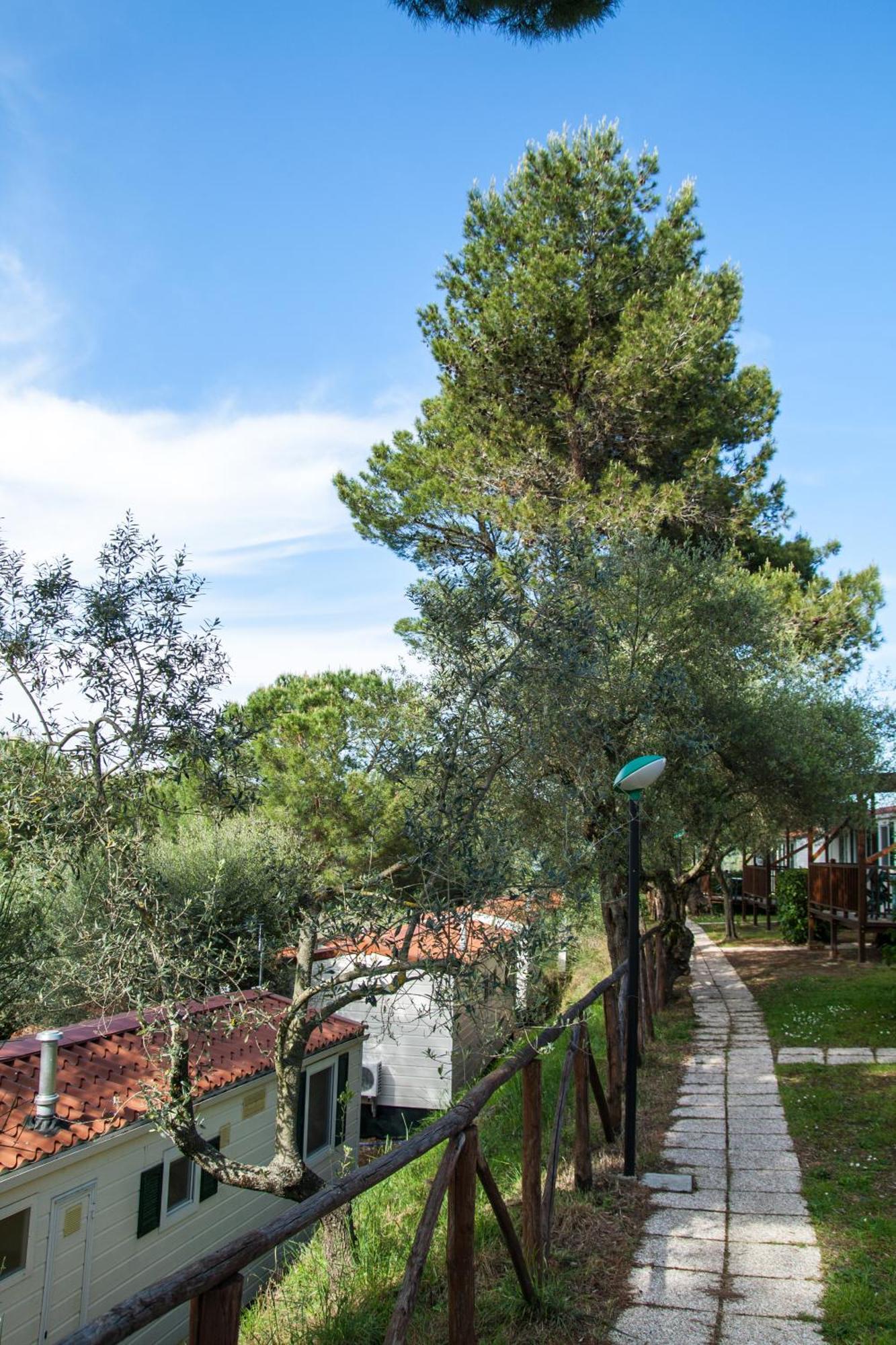 Cerquestra Camping Village Monte del Lago Exterior photo